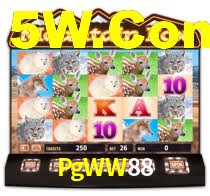 PgWW88,PgWW88.Com
