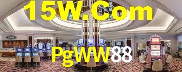 Premium Interface PgWW88